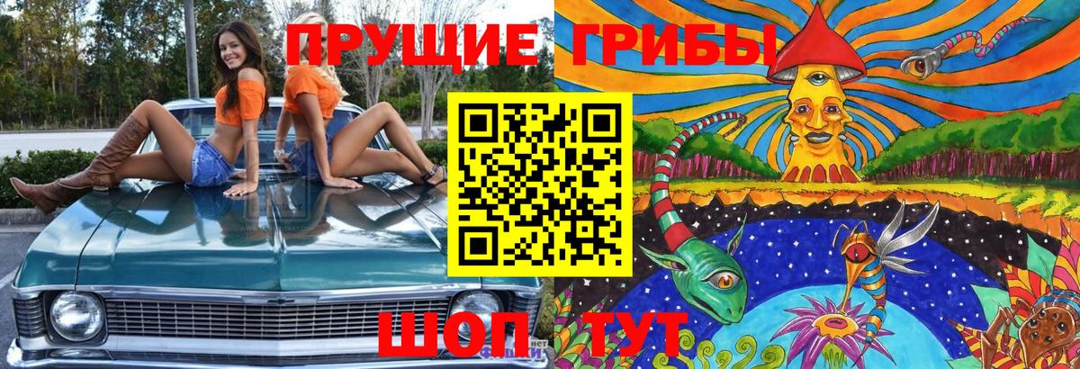 Псилоцибиновые грибы прущие грибы  Галлюциногенные грибы Cubensis  Надым  Вход с VPN 